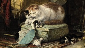  Cat And Her anak kucing