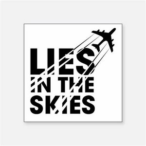 Lies in the Skies