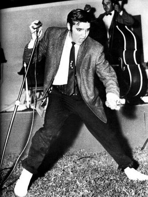  Elvis In konsert
