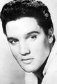 Elvis 🌹 - elvis-presley photo