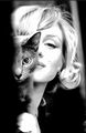 Marilyn Monroe  🌹 - classic-movies photo