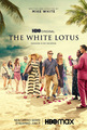 The White Lotus || Promotional Poster - television photo