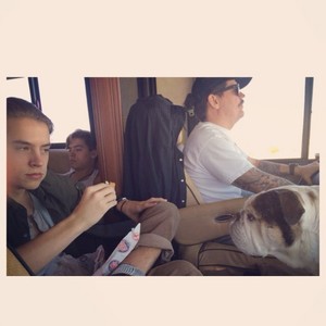  фото dump of Cole and Dylan Sprouse pt 4