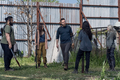 11x05 ~ Out of the Ashes ~ Aaron, Carol, Lydia, Jerry and Rosita - the-walking-dead photo