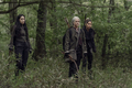 11x06 ~ On the Inside ~ Carol, Rosita and Magna - the-walking-dead photo