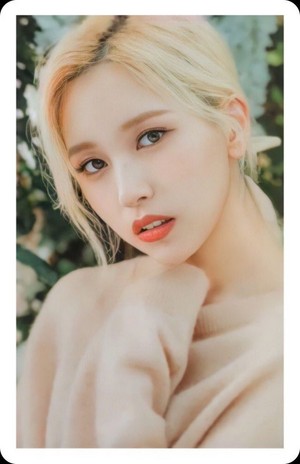 Better Official Limited Hi Touch PhotoCard