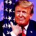 Donald Trump - us-republican-party icon