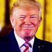 Donald Trump - us-republican-party icon
