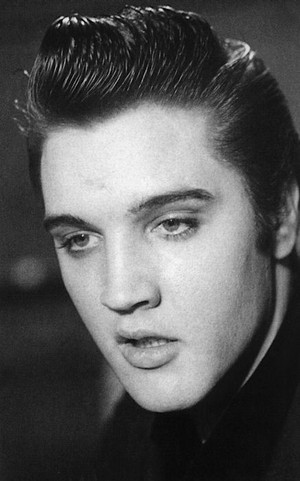  Elvis 💛