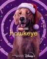 Lucky the Pizza Dog || Hawkeye || Character Poster - the-avengers photo