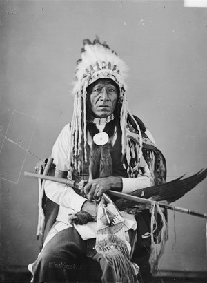  Pezhi oder Pah-Zhe (aka John gras, grass aka Waha-Canka-Yapi (Used As A Shield) || Blackfoot