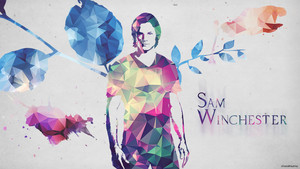  Sam Winchester 壁纸
