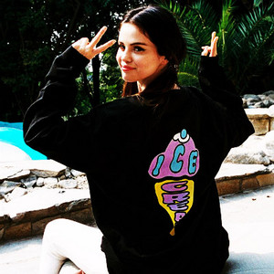  Selena 粉丝 Art