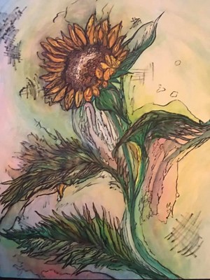  Sunflower Bloom