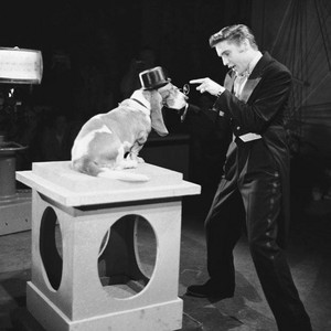 The Steve Allen Show 1956