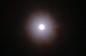  the moon