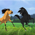 ~Spirit and Strider~ - spirit-stallion-of-the-cimarron photo