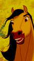 ~Spirit stallion of the cimarron ~ - spirit-stallion-of-the-cimarron photo