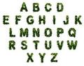 26 letters in the alphabet stock image Image of alphabet 20848703 - the-alphabet photo