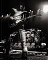 Ace ~New Haven, Connecticut...January 28, 1978 (ALIVE II Tour)  - kiss photo