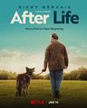 After Life | Season 3 | Promotional Poster - netflix photo