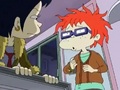 All Grown Up! -  It's Cupid, Stupid 334 - rugrats-all-grown-up photo