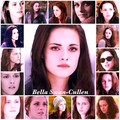 Bella Swan Cullen - twilight-series fan art
