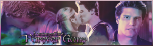  Buffy/Angel Banner - A Moment Lost