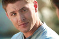 Dean Winchester | Supernatural | 4.06 | Yellow Fever - supernatural photo