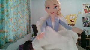  Elsa Wishes anda A Beautiful Holiday Season