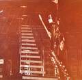 Gene ~Buffalo, New York...January 26, 1978 (Alive II Tour)  - kiss photo