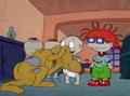 Rugrats - Be My Valentine Part 1  103  - rugrats photo