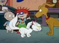 Rugrats - Be My Valentine Part 1  117  - rugrats photo