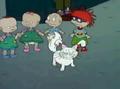 Rugrats - Be My Valentine Part 1  118  - rugrats photo