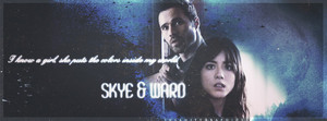 Skye/Ward Banner