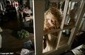 Taylor ~ Los Angeles Times (2007) - taylor-swift photo