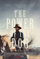 The Power of the Dog | Promotional Poster - netflix photo