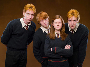  Who doesn't 爱情 the Weasleys?