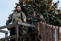 11x09 ~ No Other Way ~ Jerry, Daryl and Maggie - the-walking-dead photo
