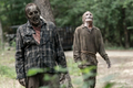 11x12 ~ The Lucky Ones ~ Walkers - the-walking-dead photo