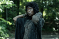 11x13 ~ Warlords ~ Annie - the-walking-dead photo