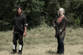 11x14 ~ The Rotten Core ~ Daryl and Carol - the-walking-dead photo