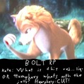 Bolt RP self-made box meme - alpha-and-omega fan art