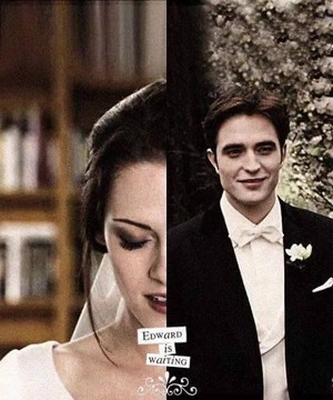  Edward and Bella - Twilight Saga