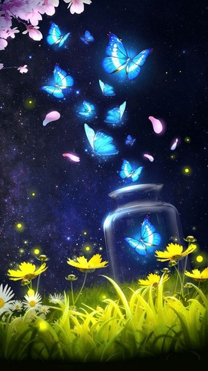 Light of Butterfly