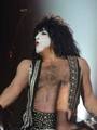 Paul ~Hollywood, Florida...March 17, 2011 (The Hottest Show on Earth Tour)  - kiss photo