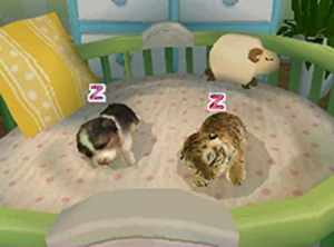 Petz Nursery 2 - Nïntendo DS Vïdeo Games