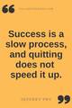 Quote Pertaining To Success - cherl12345-tamara photo