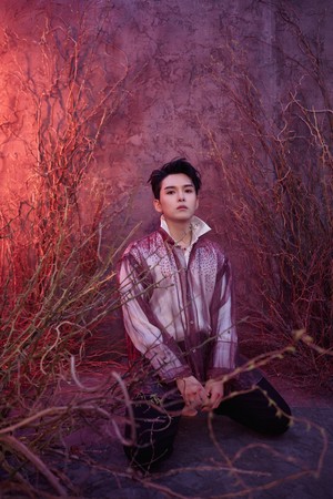  RYEOWOOK A Wild Rose Image Teaser