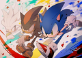 Rivalry - shadow-the-hedgehog fan art